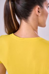 105726_20697_0_003